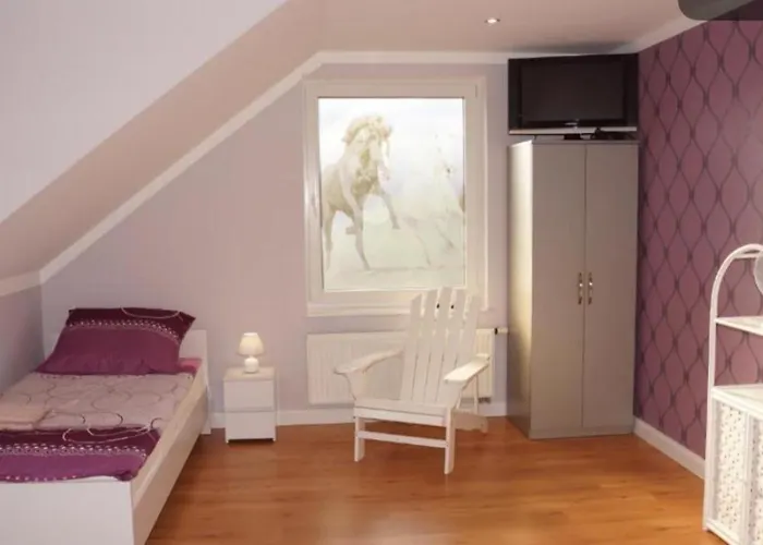 Alojamento de Turismo Rural White *